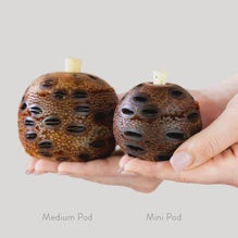 Banksia Gifts Mini Aroma Pod
