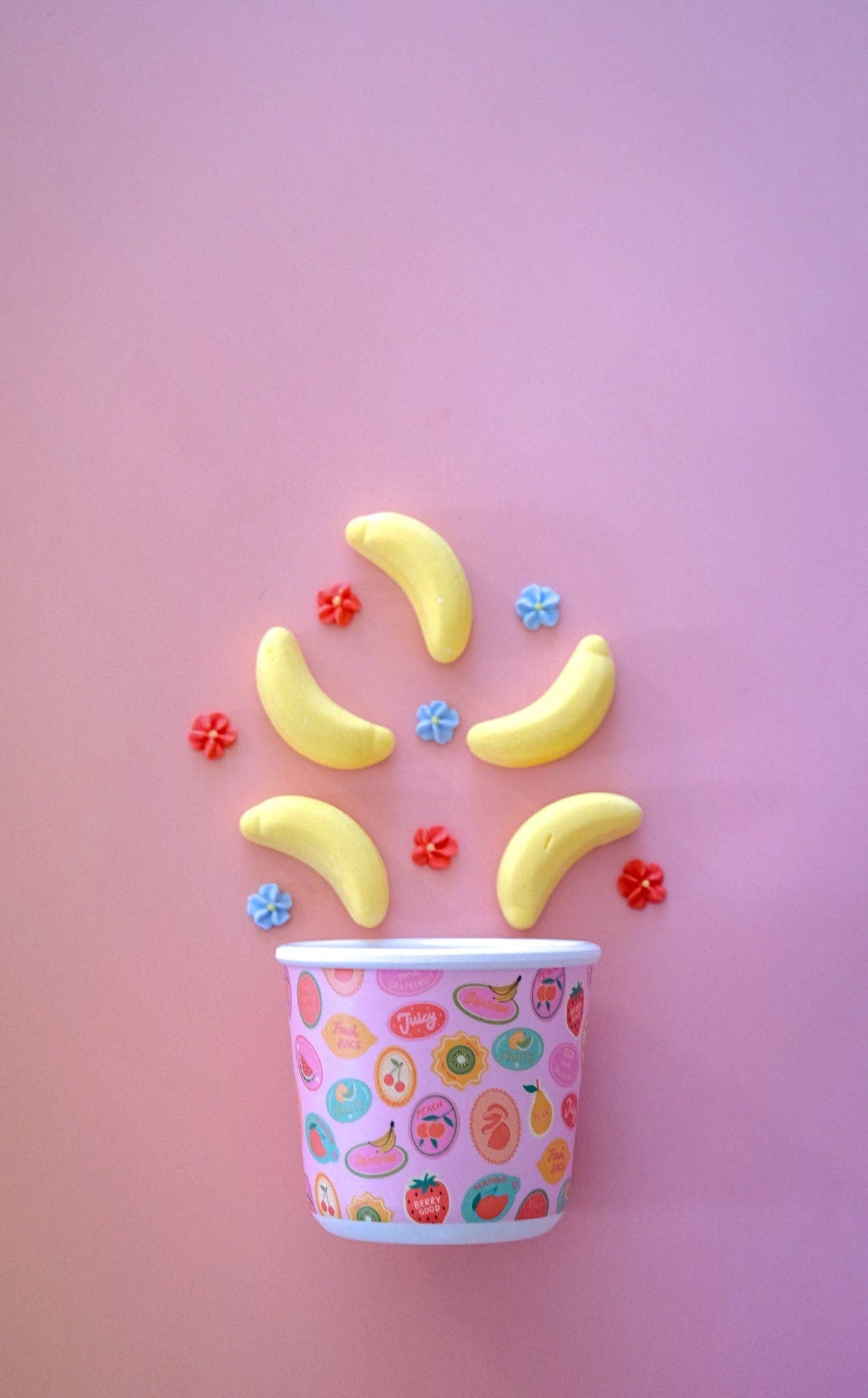 BBCino Fresh Picks Snack Pot