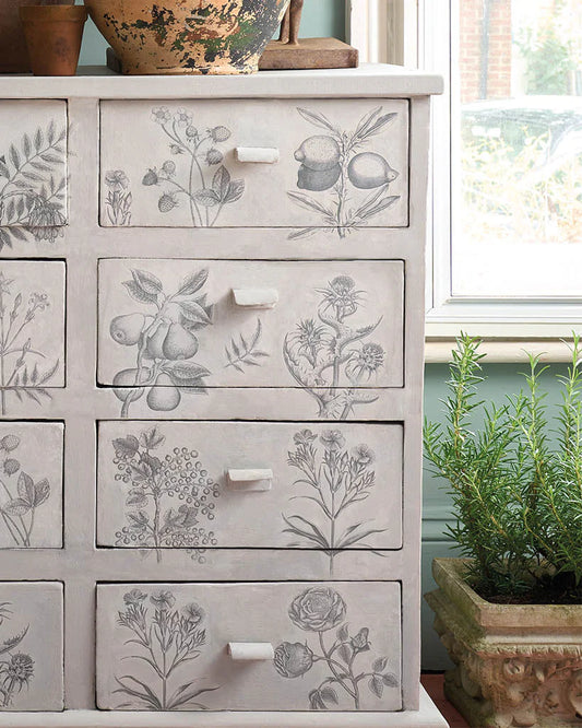 Annie Sloan RHS Decoupage Paper Botanical Drawing