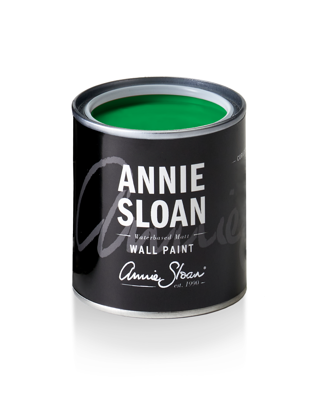Wall Paint by Annie Sloan Schinkel Green - 120ml/2.5 Litre