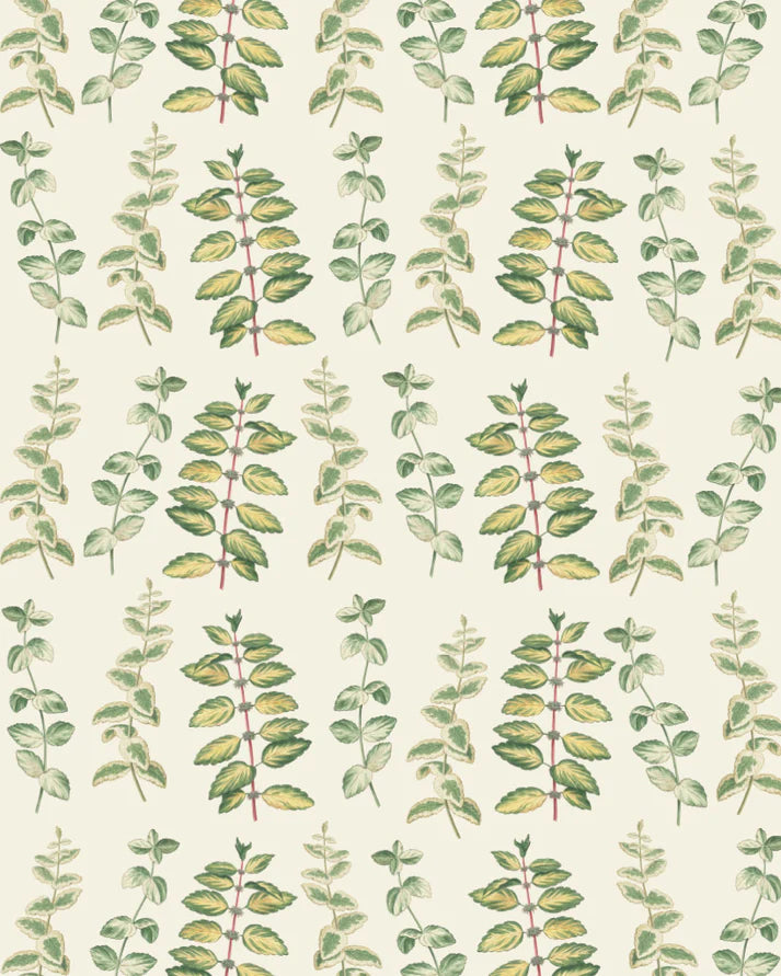 Annie Sloan RHS Decoupage Paper Mint