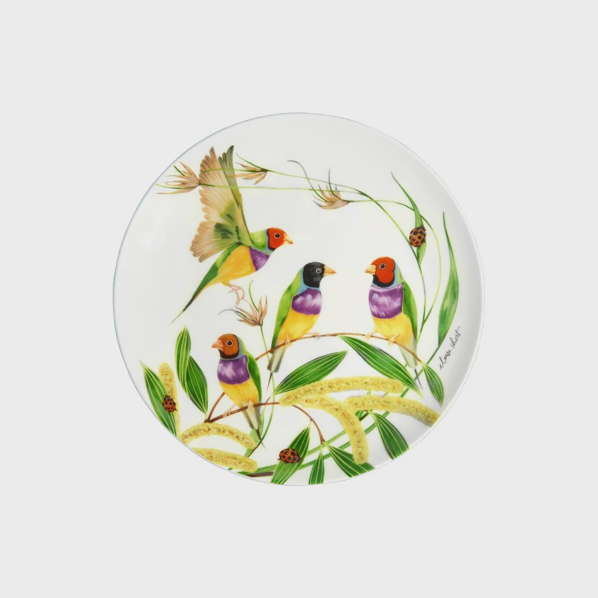 Maxwell and Williams Eloise Short Lyric Coupe Plate 20cm Gouldian Finch Gift Boxed