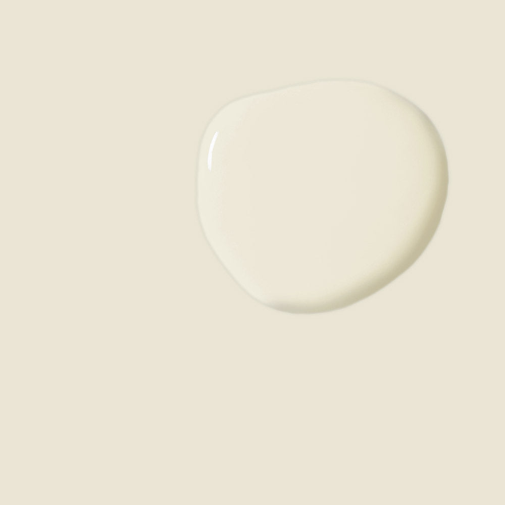 Satin Paint by Annie Sloan Old White 750ml