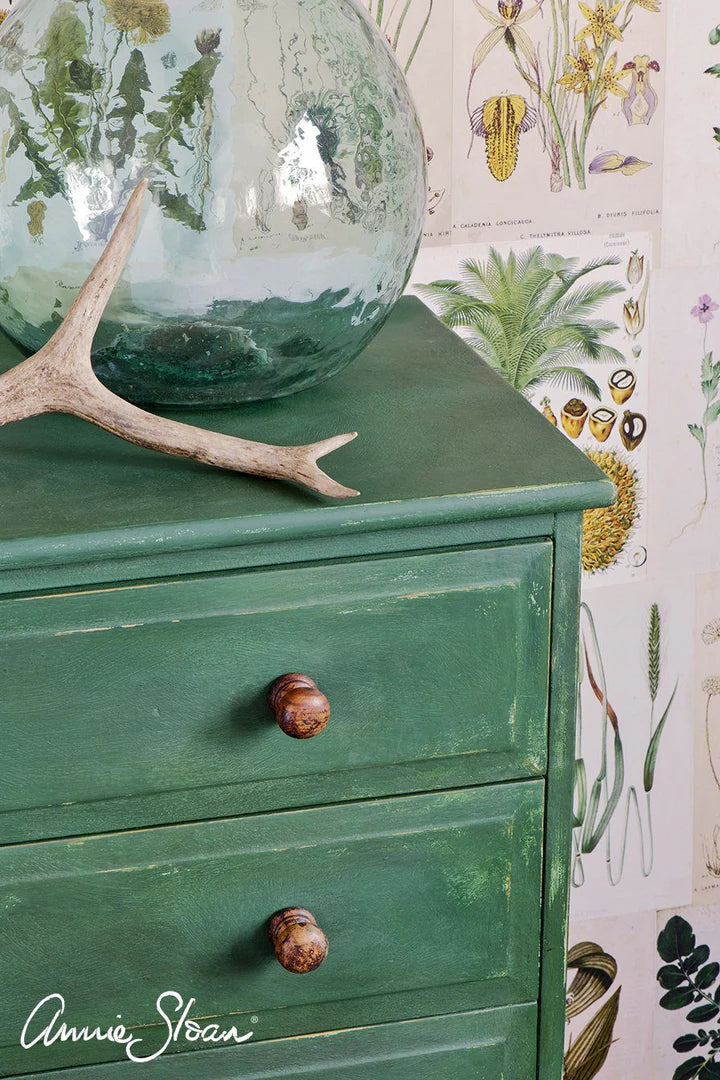 Chalk Paint by Annie Sloan Amsterdam Green 120ml/1 litre