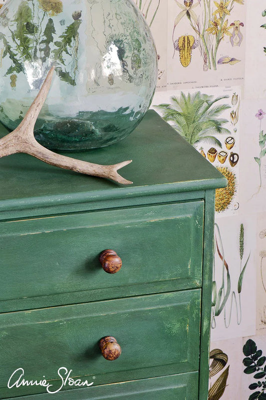 Chalk Paint by Annie Sloan Amsterdam Green 120ml/1 litre