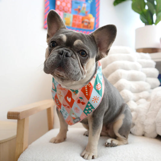 Annabel Trends Christmas puppy bandana