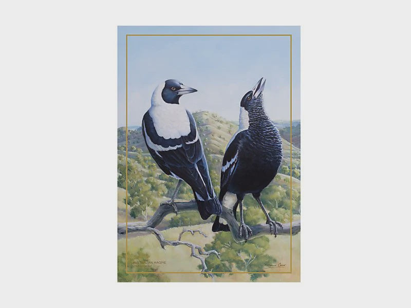Maxwell and Williams Birds of Aust Tea Towel Magpie
