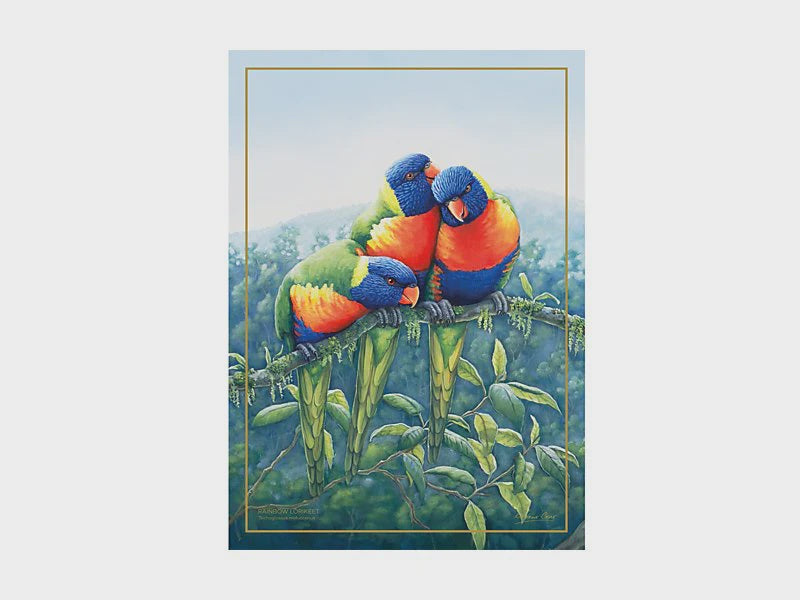 Maxwell and Williams Birds of Aust Tea Towel Lorikeet