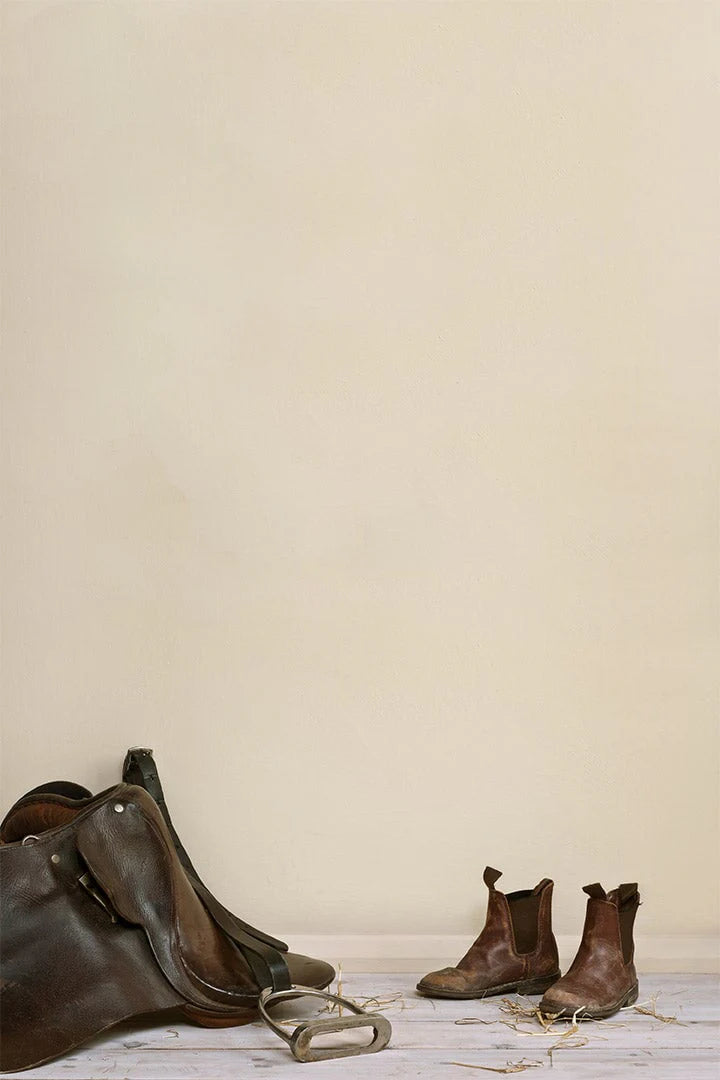 Wall Paint by Annie Sloan Original - 120ml/2.5 Litre