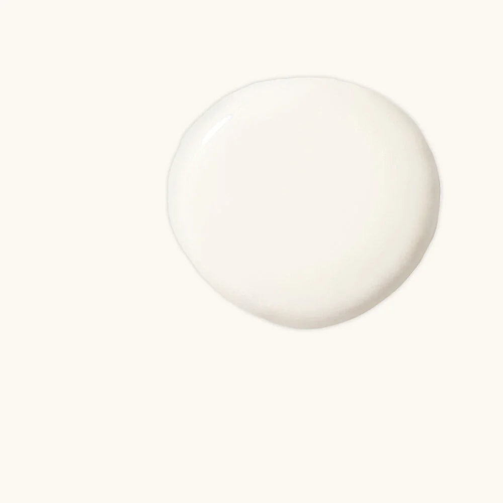 Satin Paint by Annie Sloan Pure 750ml