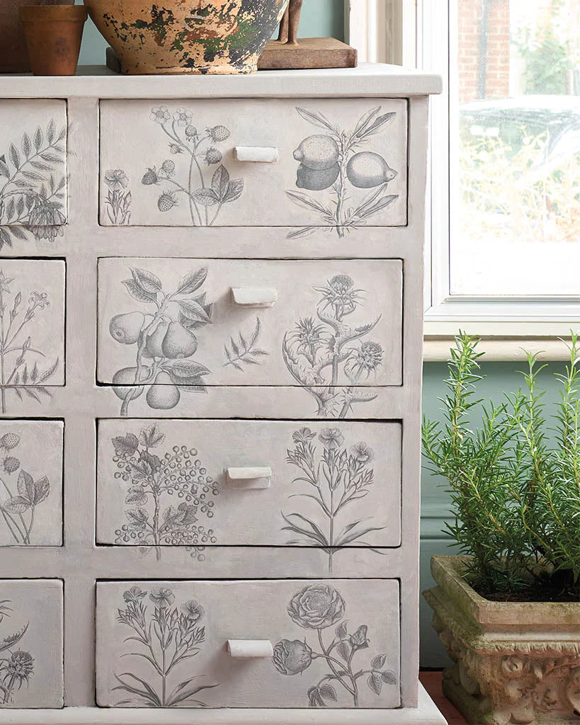 Annie Sloan RHS Decoupage Paper Botanical Drawing