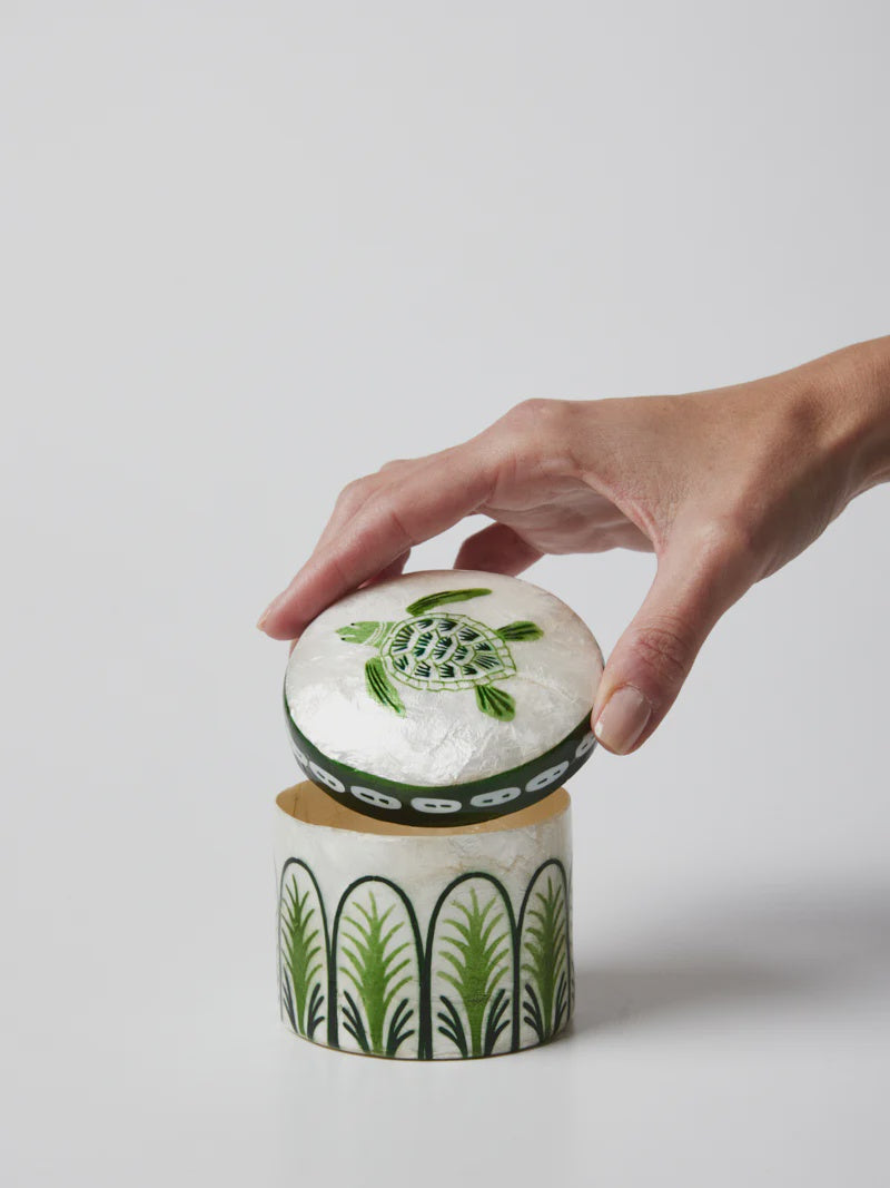 Jones & Co Atlantic Turtle Box